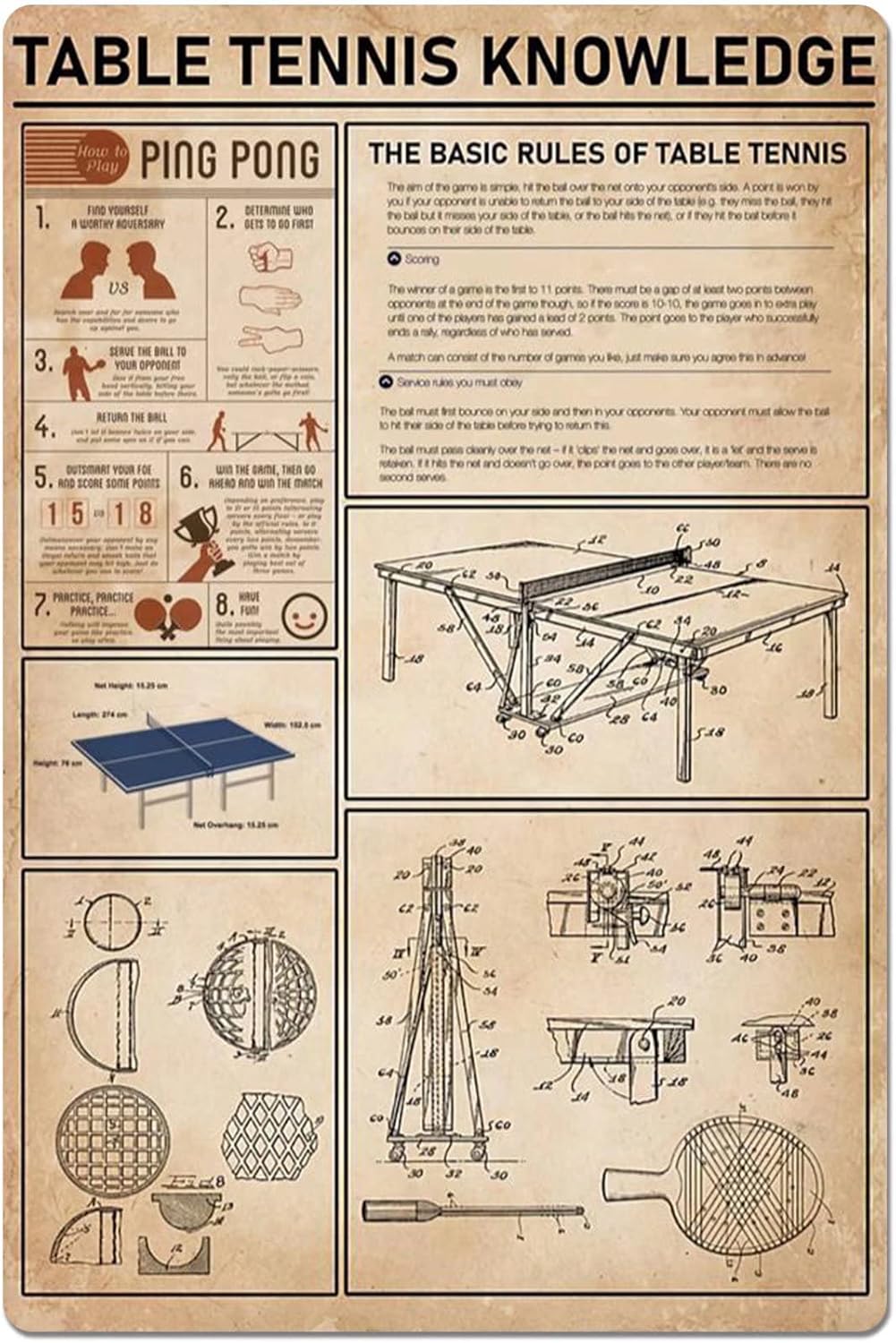 Table Tennis Knowledge Poster - Plaque métallique éducative de tennis de